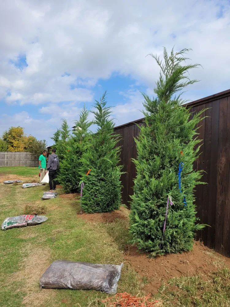 Affordable landscape design in Oklahoma City, OK - Creations Landscape and Lawn Maintenance