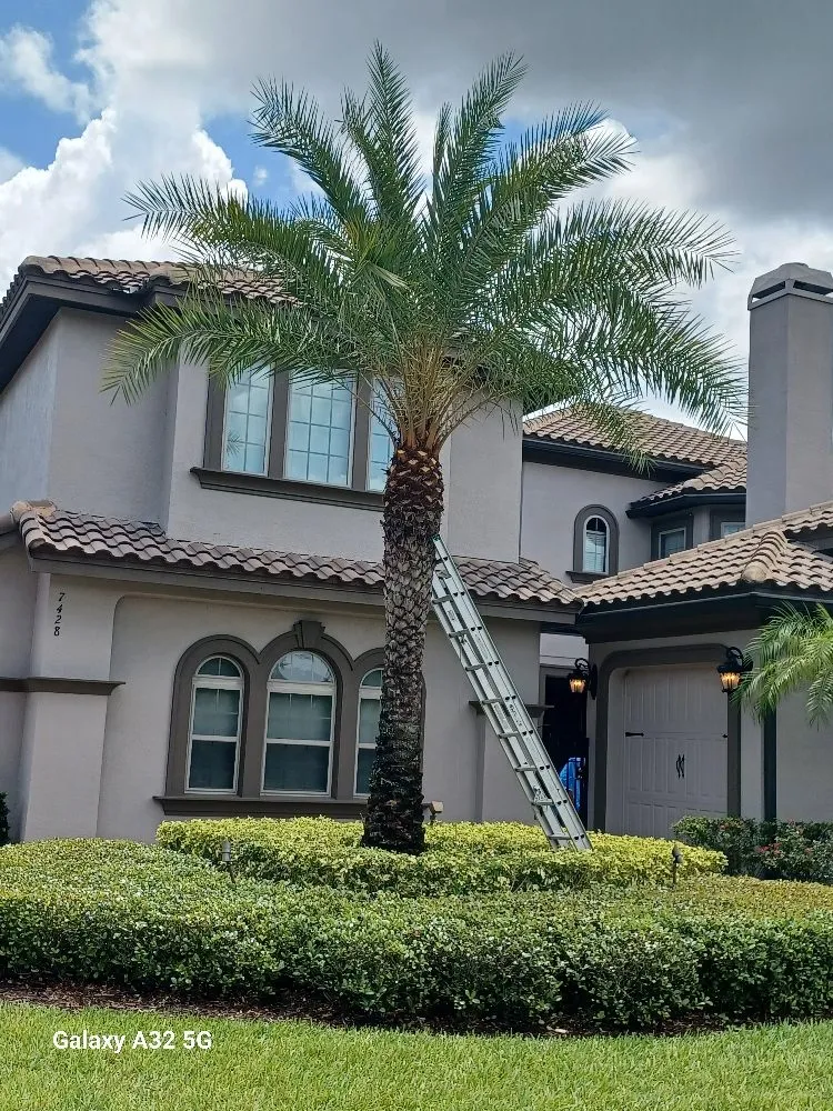 Trusted yard cleanup service in Sanford, FL by Creations Landscaping