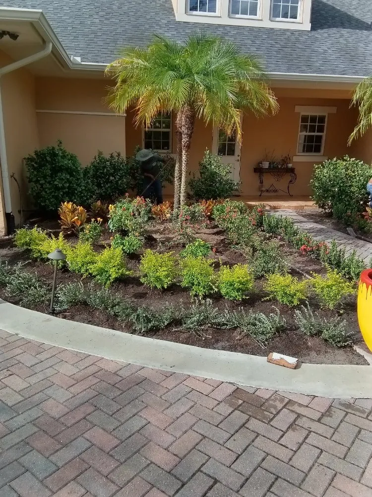 Top-rated yard cleanup service for year-round maintenance in Sanford, FL by Creations Landscaping