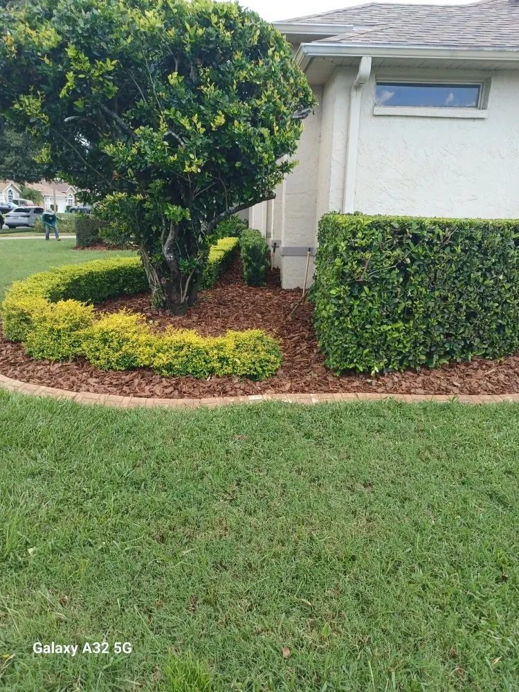 Trusted lawn care service with custom design in Sanford, FL by Creations Landscaping