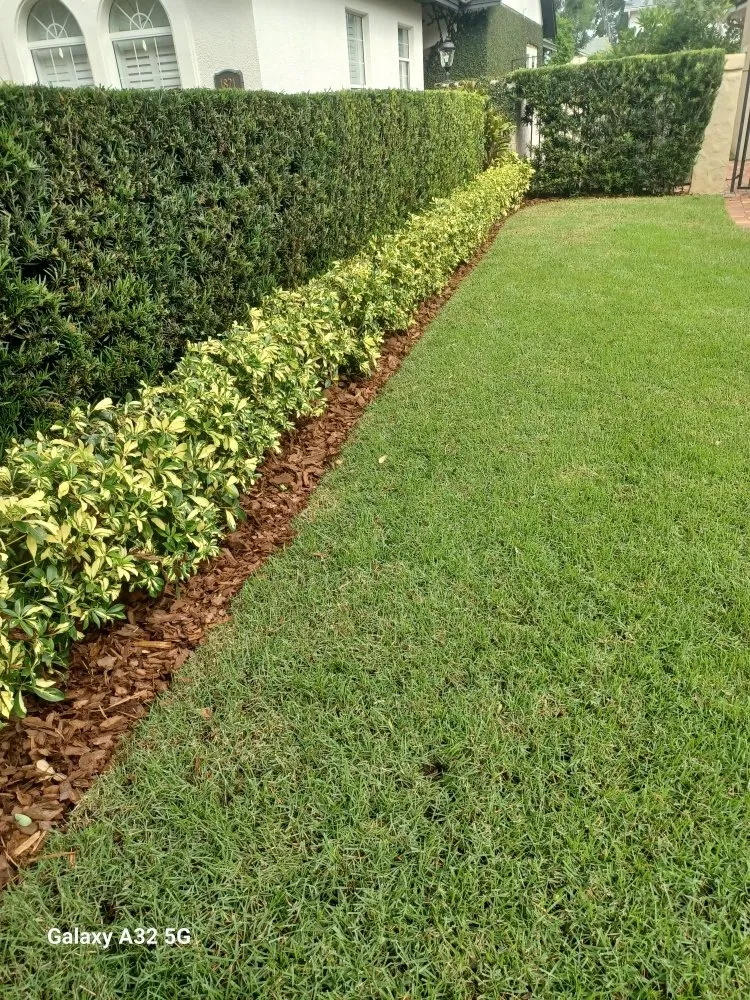 Custom landscape installation for homes across Sanford, FL - Creations Landscaping