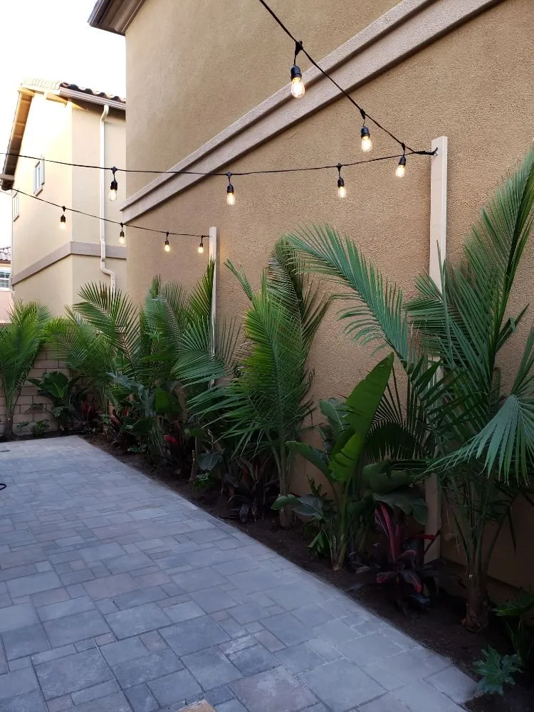 Local yard maintenance experts serving Lake Forest, CA - Creative Accents Landscape Design