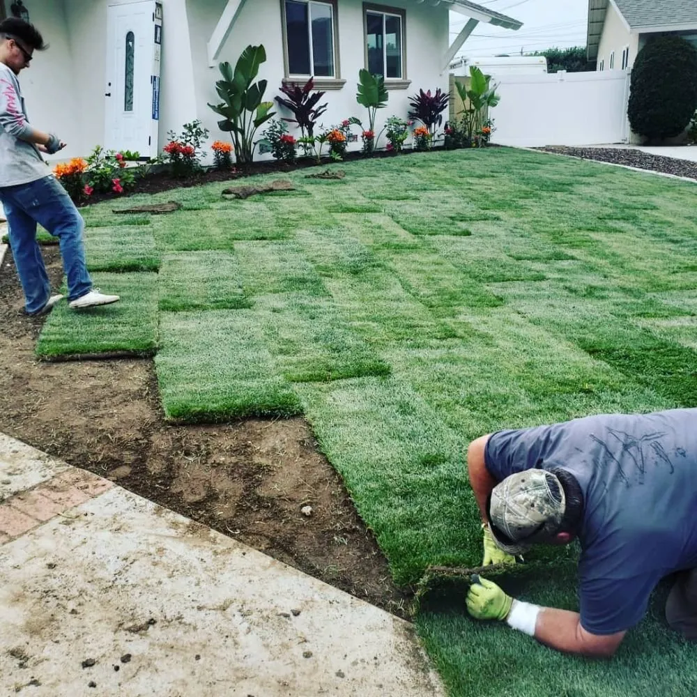 Local yard maintenance in Lake Forest, CA by Creative Accents Landscape Design