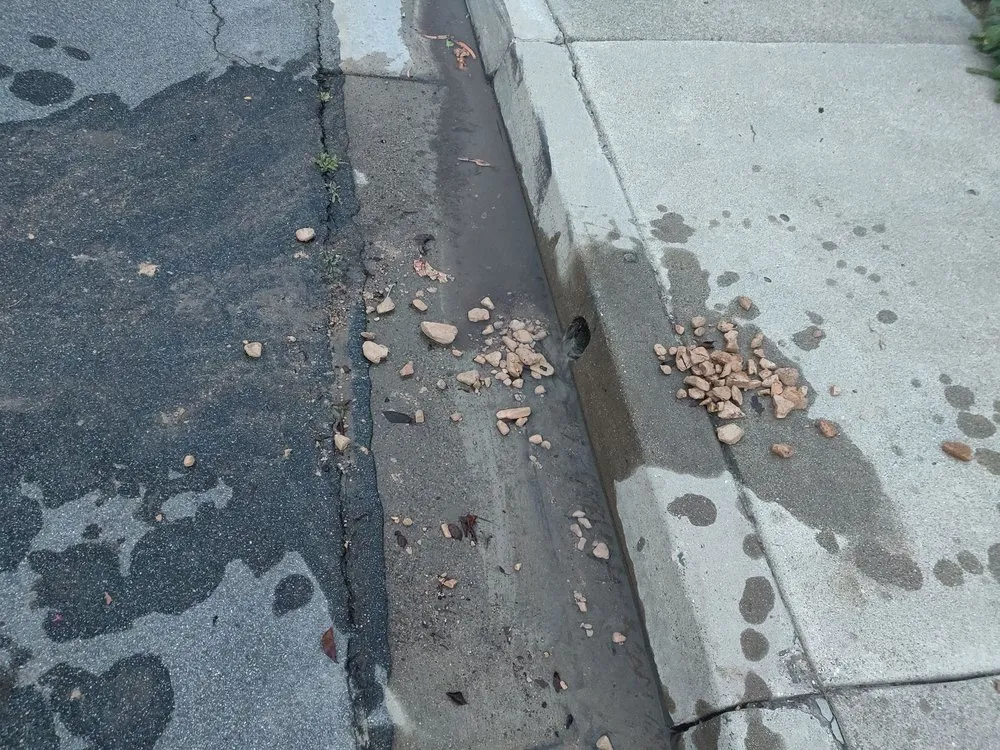 Trusted yard cleanup service in Lake Forest, CA - Creative Atmospheres