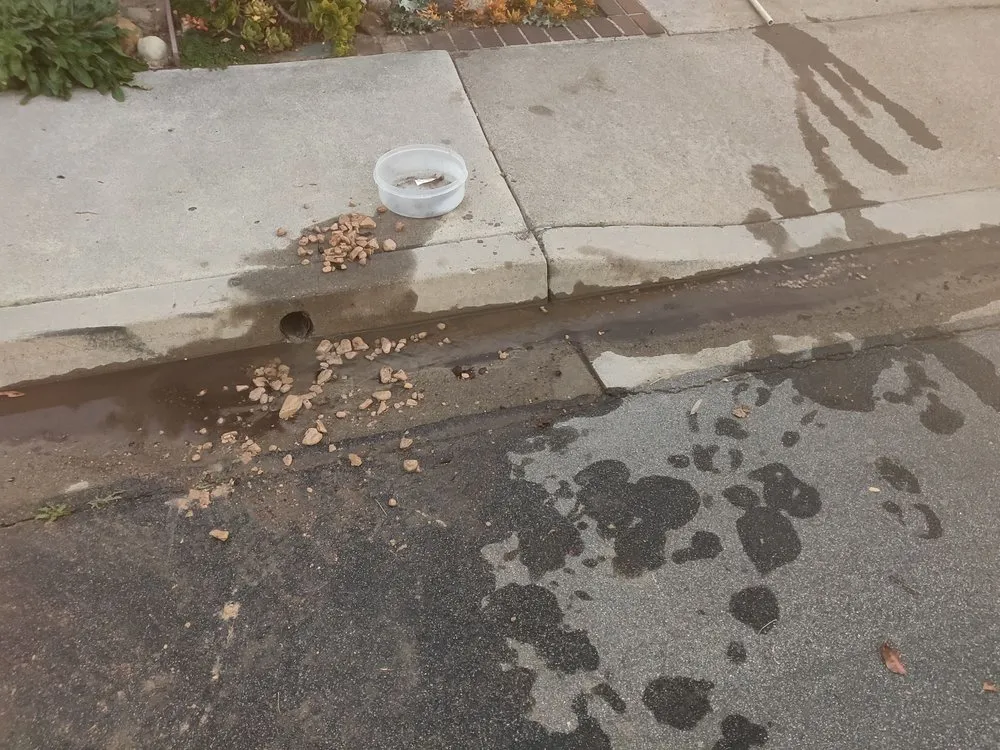 Expert outdoor landscaping in Lake Forest, CA - Creative Atmospheres