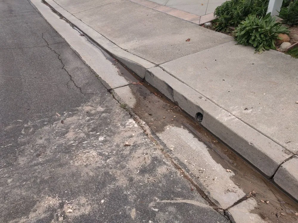 Top-rated yard cleanup service experts serving Lake Forest, CA - Creative Atmospheres