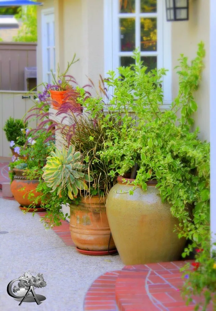 Reliable garden landscaping in Lake Forest, CA - Creative Atmospheres