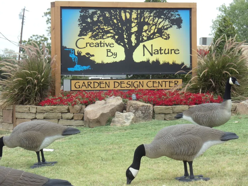 Top-rated yard cleanup service in McKinney, TX by Creative By Nature