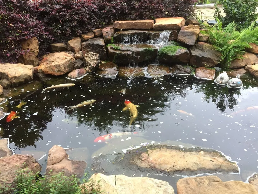 Top-rated outdoor landscaping in McKinney, TX by Creative By Nature