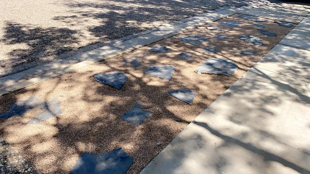 Affordable lawn care service in Lubbock, TX - Creative Care Tree & Landscaping