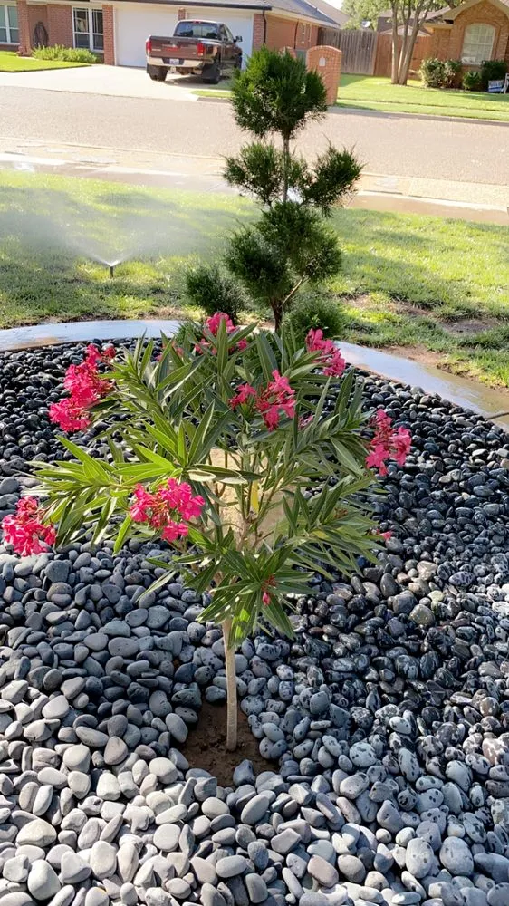 Local yard cleanup service in Lubbock, TX by Creative Care Tree & Landscaping