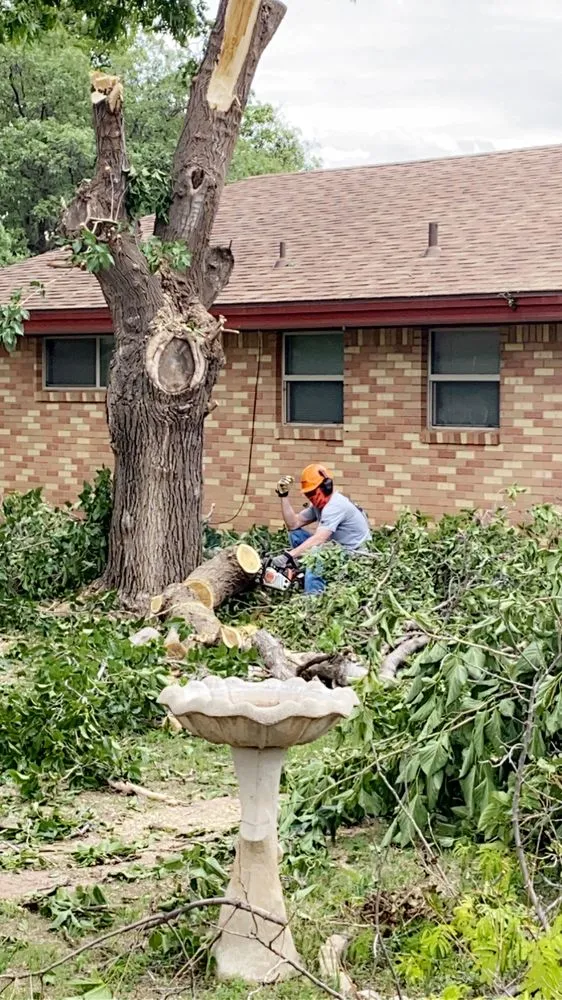 Professional yard maintenance in Lubbock, TX - Creative Care Tree & Landscaping