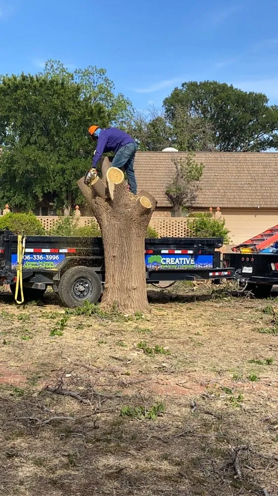 Top-rated landscape design for outdoor upgrades in Lubbock, TX by Creative Care Tree & Landscaping