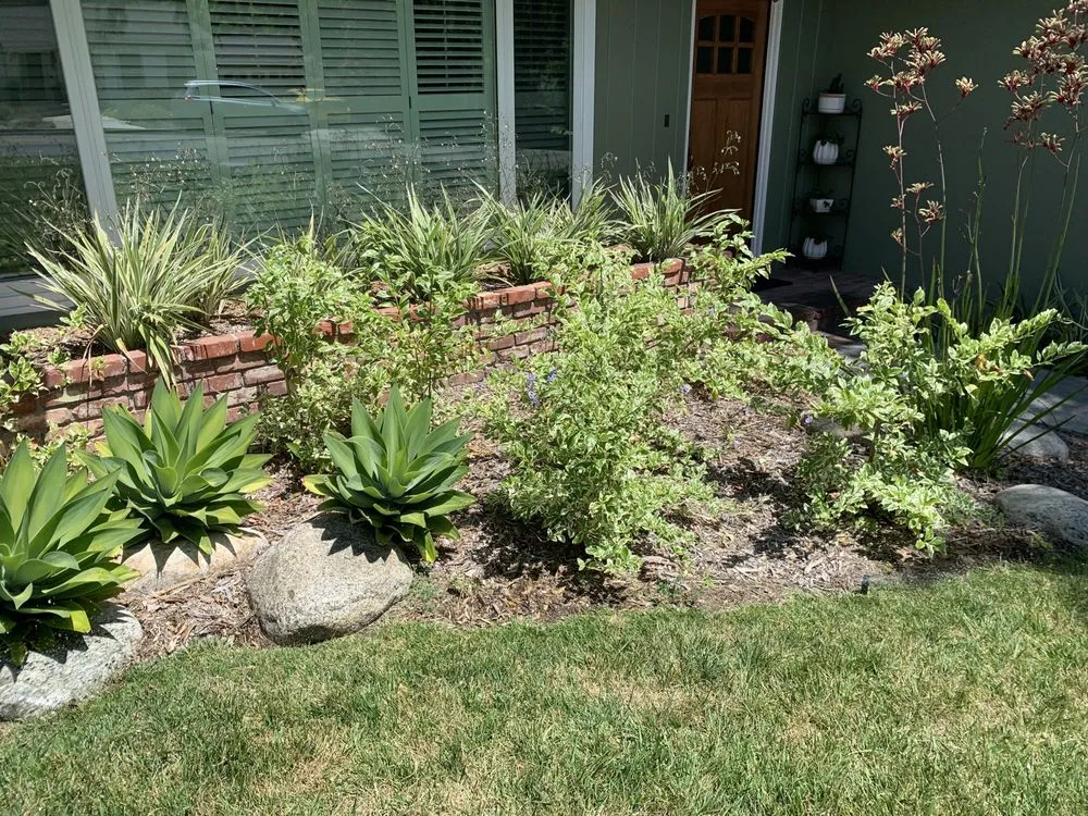 Reliable lawn care service experts serving La Crescenta-Montrose, CA - Creative Concepts Landscape