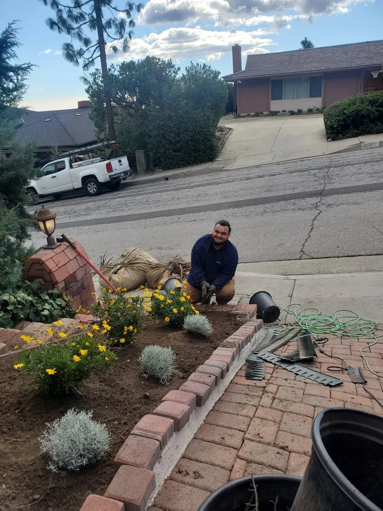 Professional yard maintenance for beautiful yards in La Crescenta-Montrose, CA by Creative Concepts Landscape