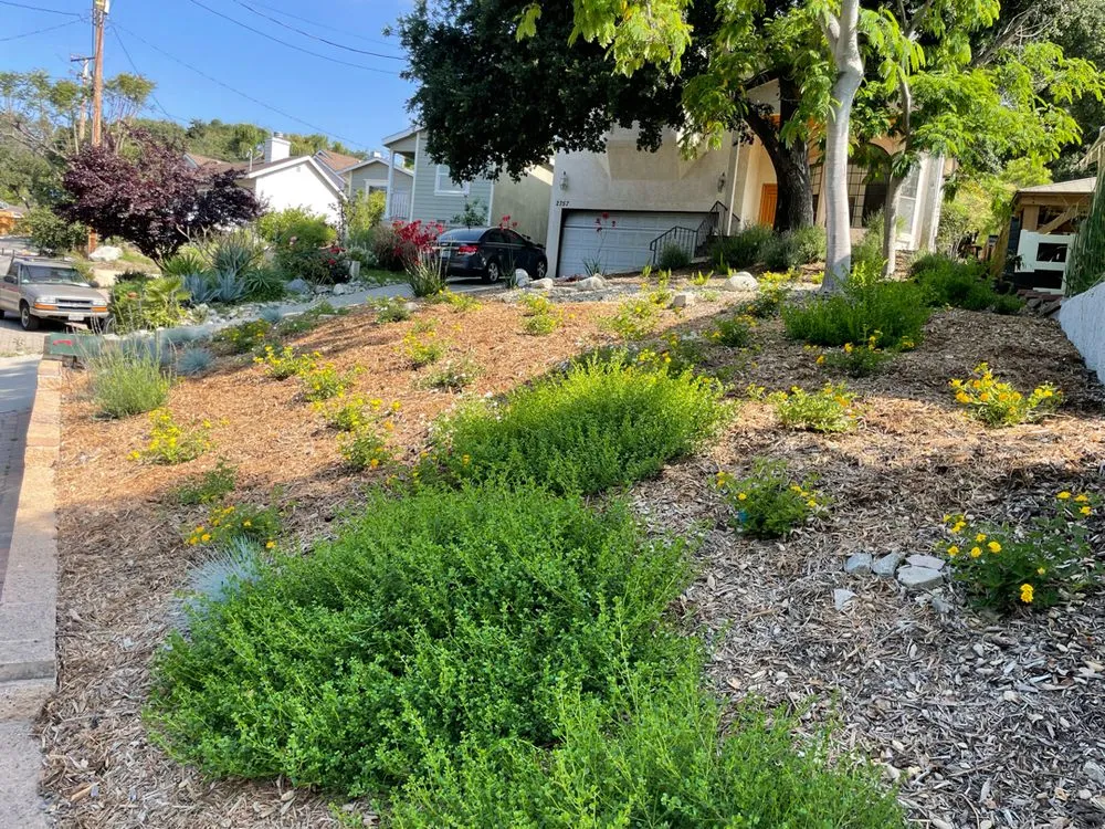 Expert landscape installation in La Crescenta-Montrose, CA by Creative Concepts Landscape
