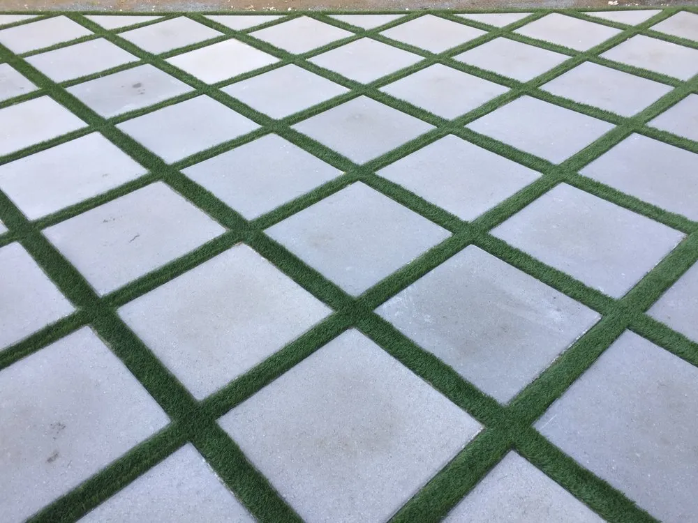 Trusted yard cleanup service for year-round maintenance in San Jose, CA by Creative Concepts Landscape Management