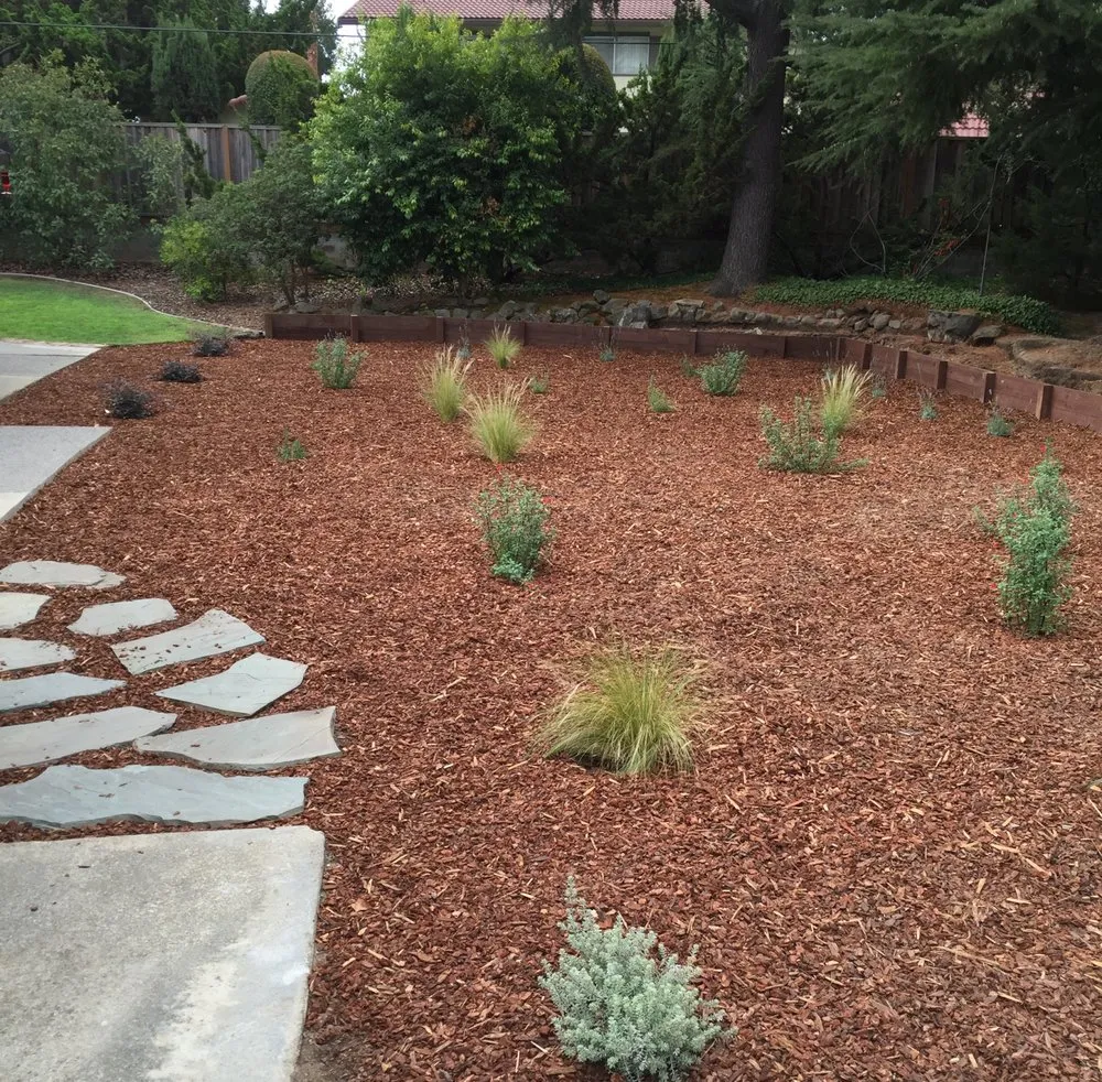 Professional residential landscaping near you across San Jose, CA - Creative Concepts Landscape Management