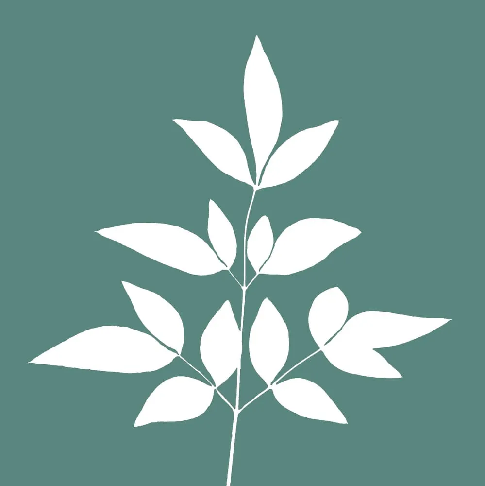 Local residential landscaping with custom design across San Jose, CA - Creative Concepts Landscape Management