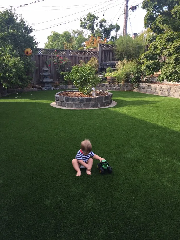Top-rated lawn care service near you across San Jose, CA - Creative Concepts Landscape Management