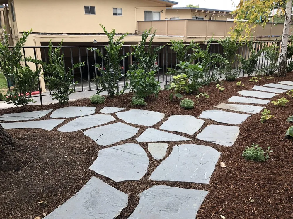 Professional yard maintenance for homes across San Jose, CA - Creative Concepts Landscape Management