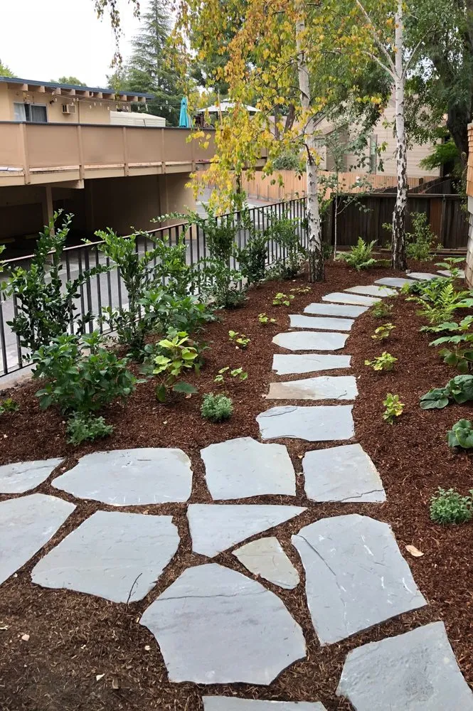Trusted yard cleanup service for year-round maintenance in San Jose, CA by Creative Concepts Landscape Management