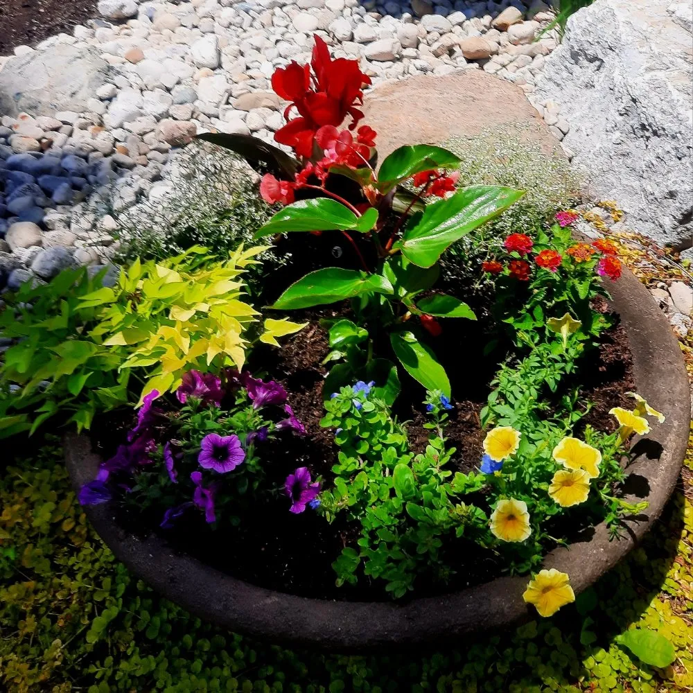 Trusted garden landscaping experts serving Ludlow Falls, OH - Creative Concepts Landscaping LLC