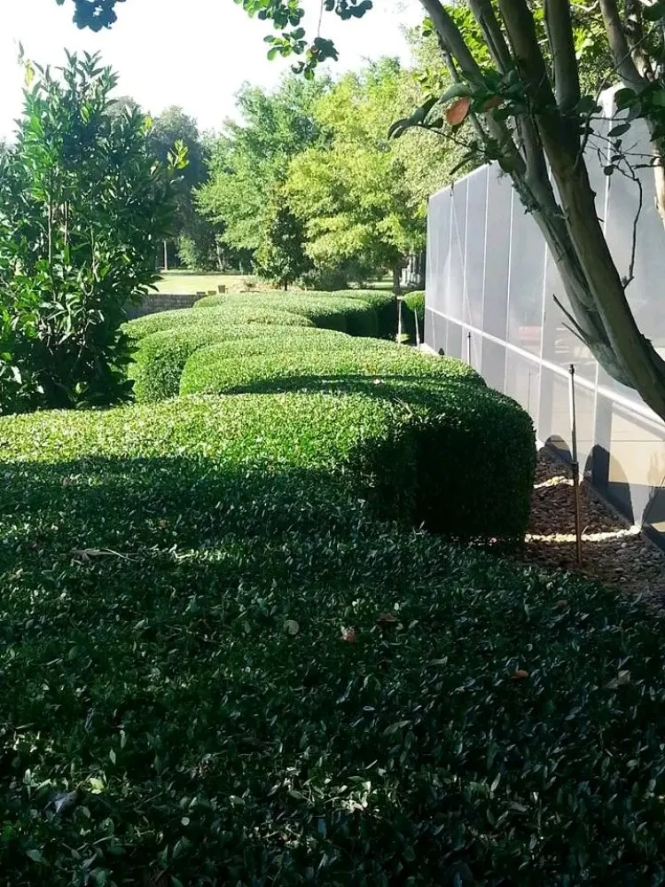 Reliable landscape installation for homes in Ludlow Falls, OH by Creative Concepts Landscaping LLC