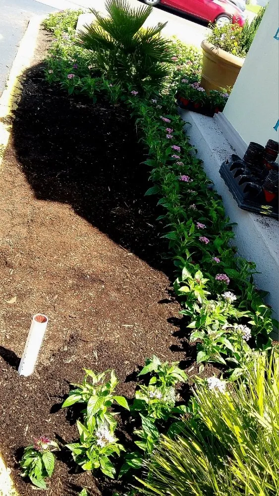Affordable residential landscaping near you across Ludlow Falls, OH - Creative Concepts Landscaping LLC