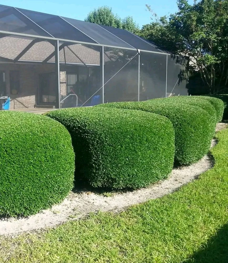 Custom garden landscaping for beautiful yards in Ludlow Falls, OH by Creative Concepts Landscaping LLC