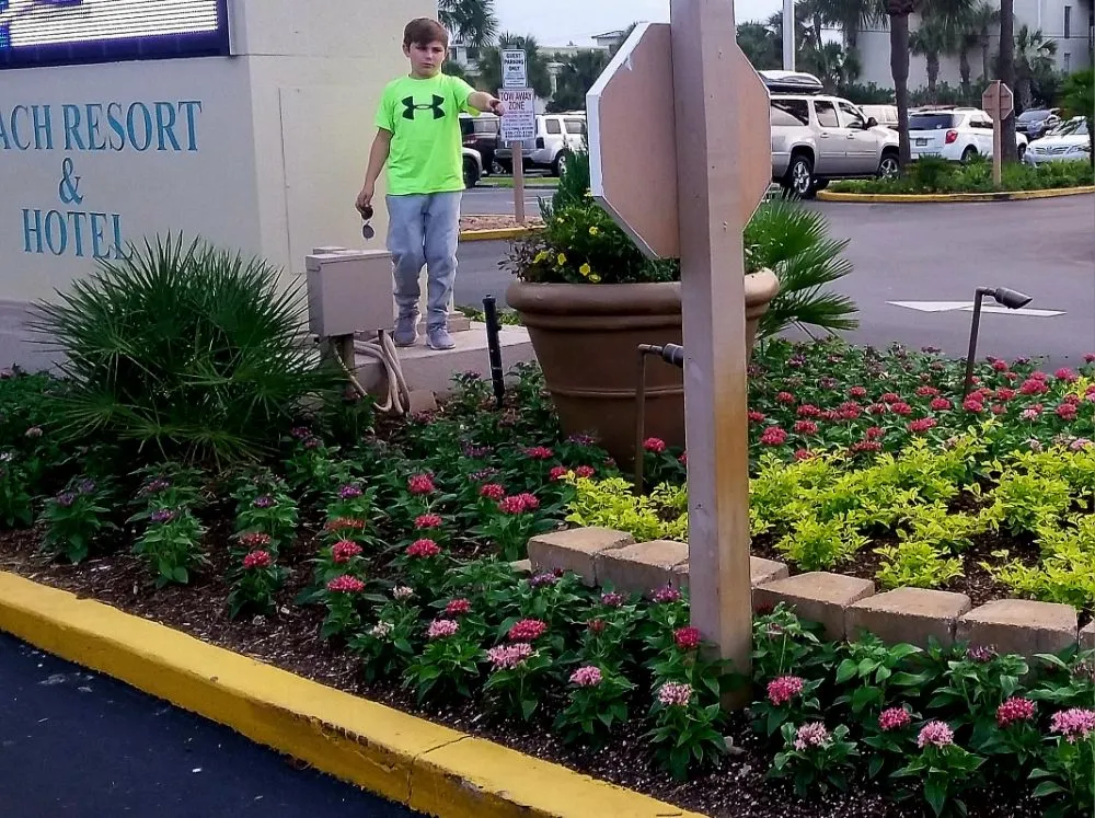 Expert garden landscaping experts serving Ludlow Falls, OH - Creative Concepts Landscaping LLC