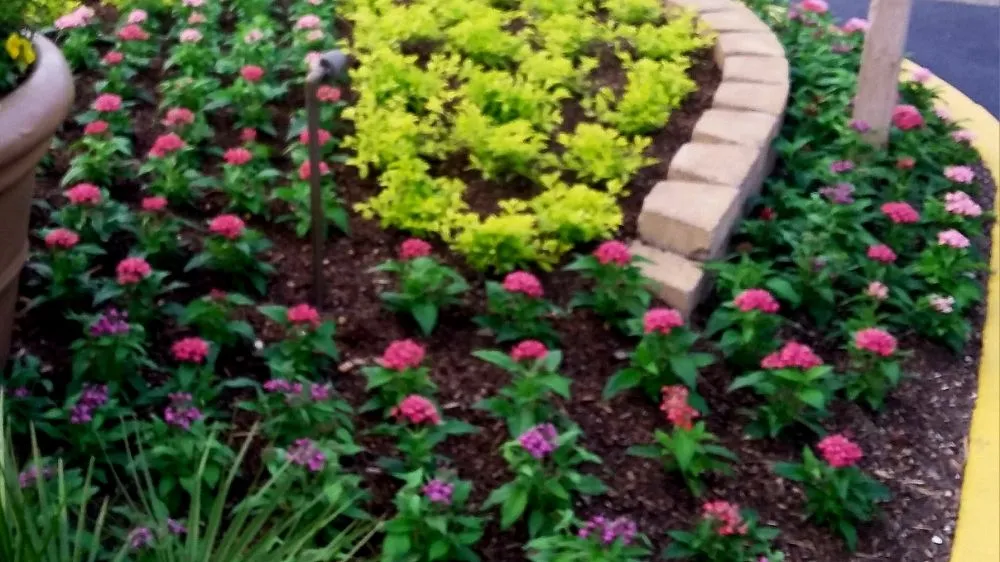 Expert yard cleanup service for year-round maintenance across Ludlow Falls, OH - Creative Concepts Landscaping LLC