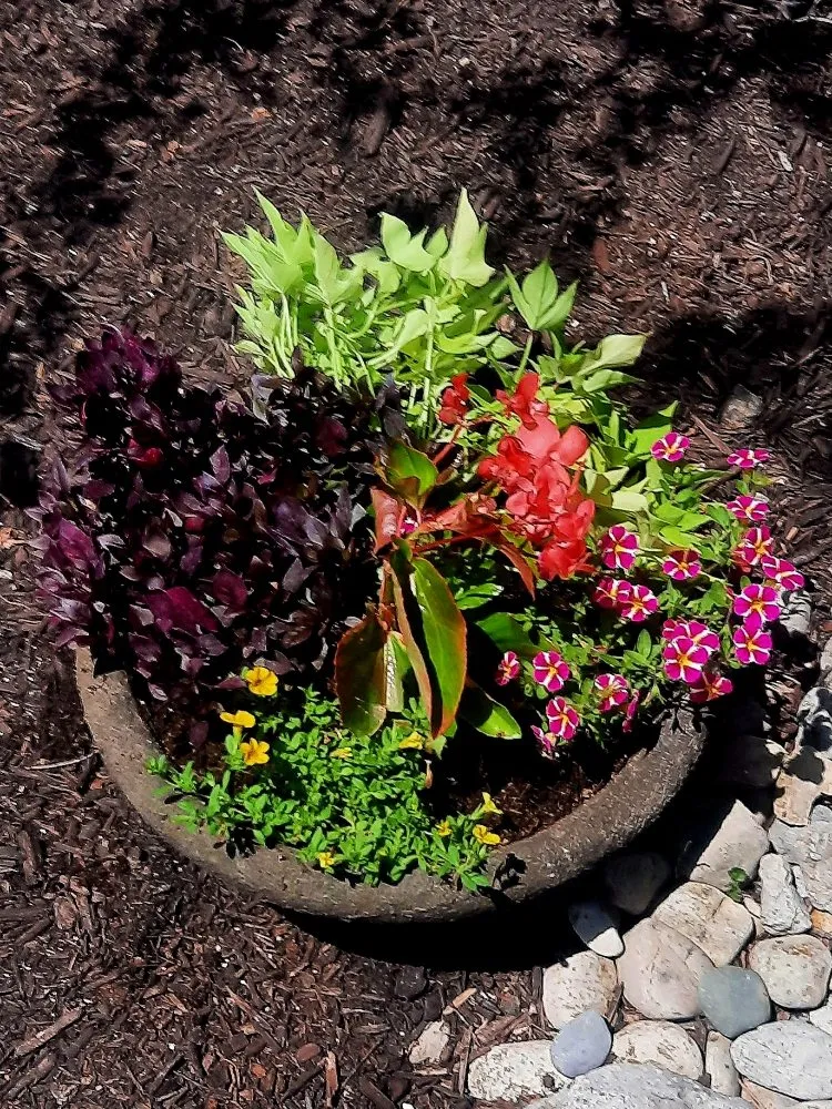 Professional landscape design in Ludlow Falls, OH - Creative Concepts Landscaping LLC