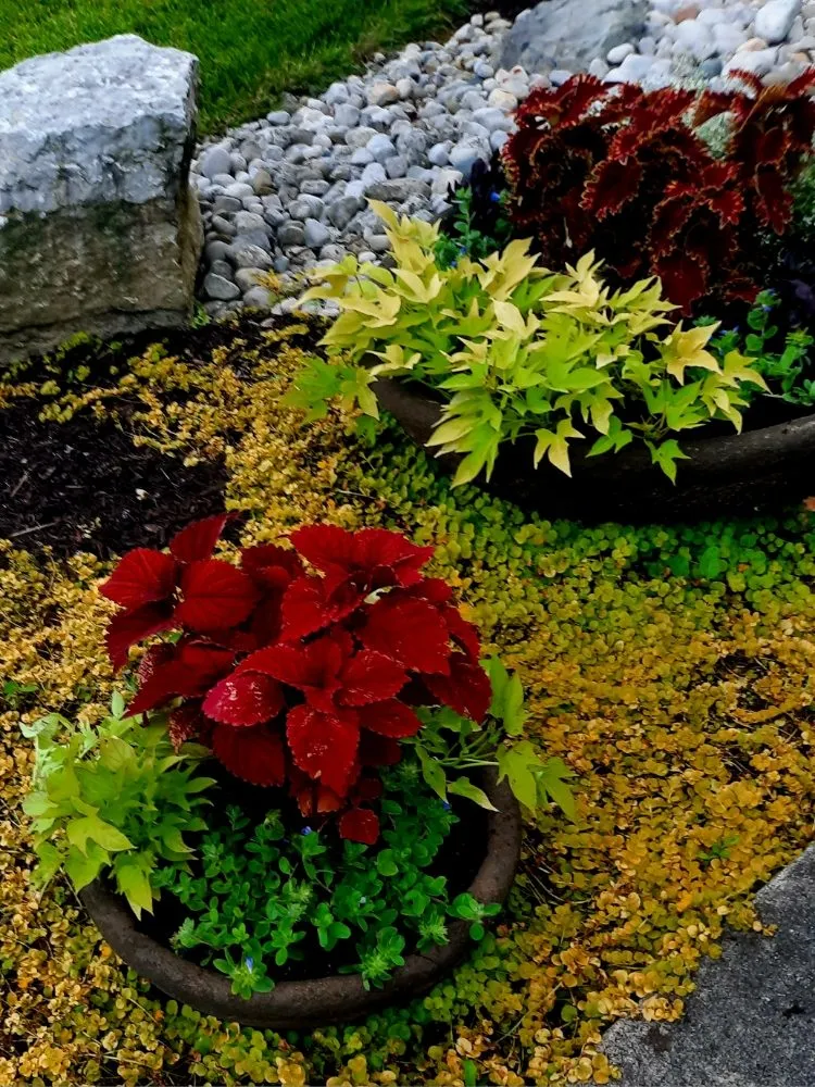 Custom lawn mowing service in Ludlow Falls, OH by Creative Concepts Landscaping LLC