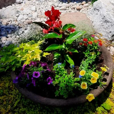 Creative Concepts Landscaping LLC