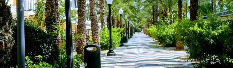 Custom residential landscaping for year-round maintenance in Troutman, NC by Creative Concepts Landscaping