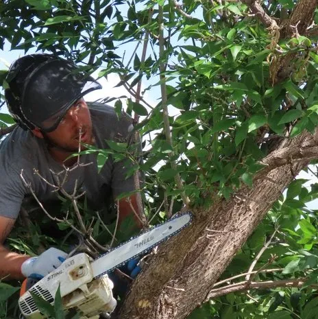 Expert landscaping services experts serving Troutman, NC - Creative Concepts Landscaping