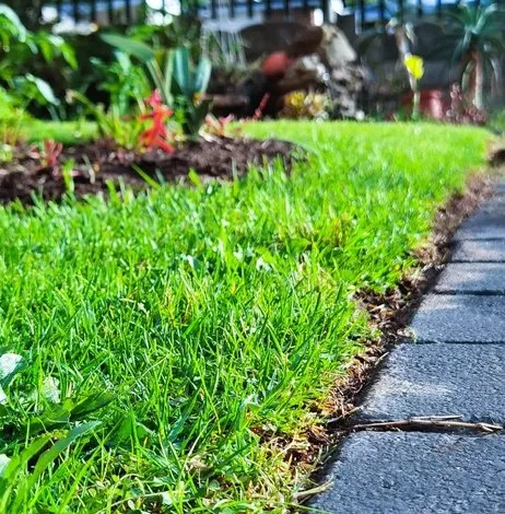 Top-rated lawn mowing service for beautiful yards across Troutman, NC - Creative Concepts Landscaping