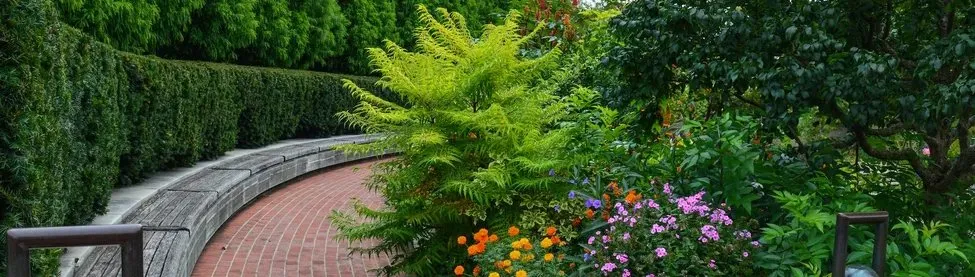 Expert lawn care service near you in Troutman, NC by Creative Concepts Landscaping