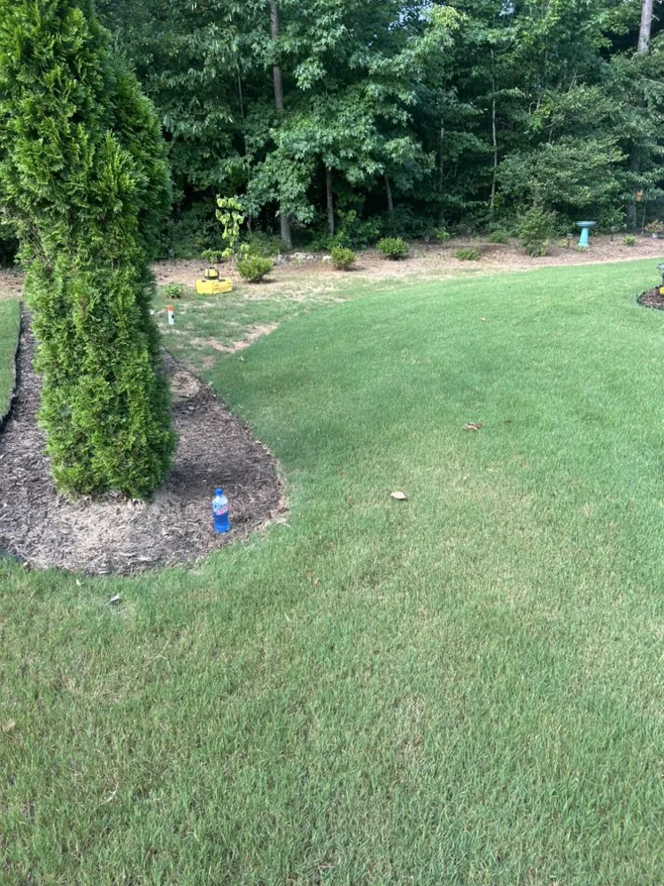 Local lawn care service in Senoia, GA - Creative Concepts