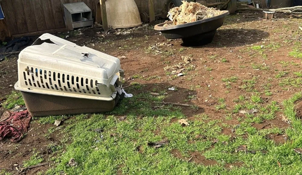 Top-rated lawn care service for residential properties in Senoia, GA by Creative Concepts