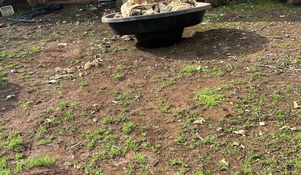 Affordable yard maintenance experts serving Senoia, GA - Creative Concepts