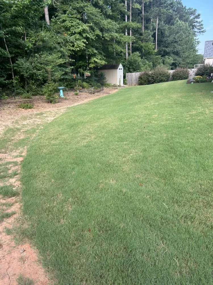Reliable residential landscaping near you in Senoia, GA by Creative Concepts