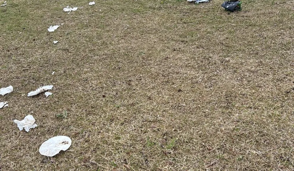 Trusted landscape installation in Senoia, GA by Creative Concepts