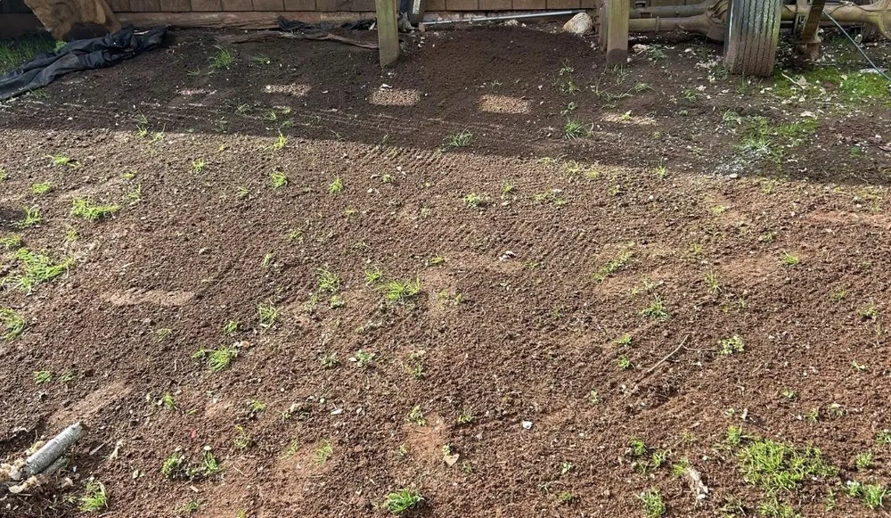 Top-rated landscaping services with custom design across Senoia, GA - Creative Concepts