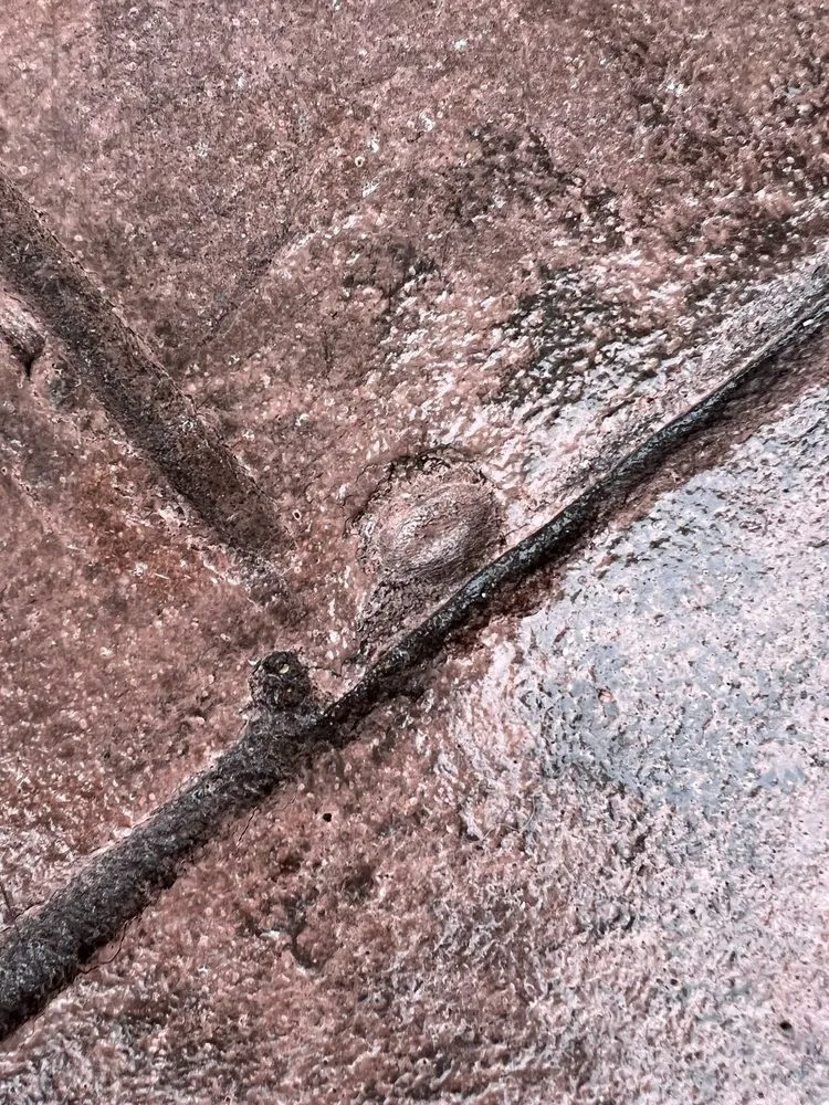 Trusted yard maintenance in Loves Park, IL by Creative Concrete and Landscaping