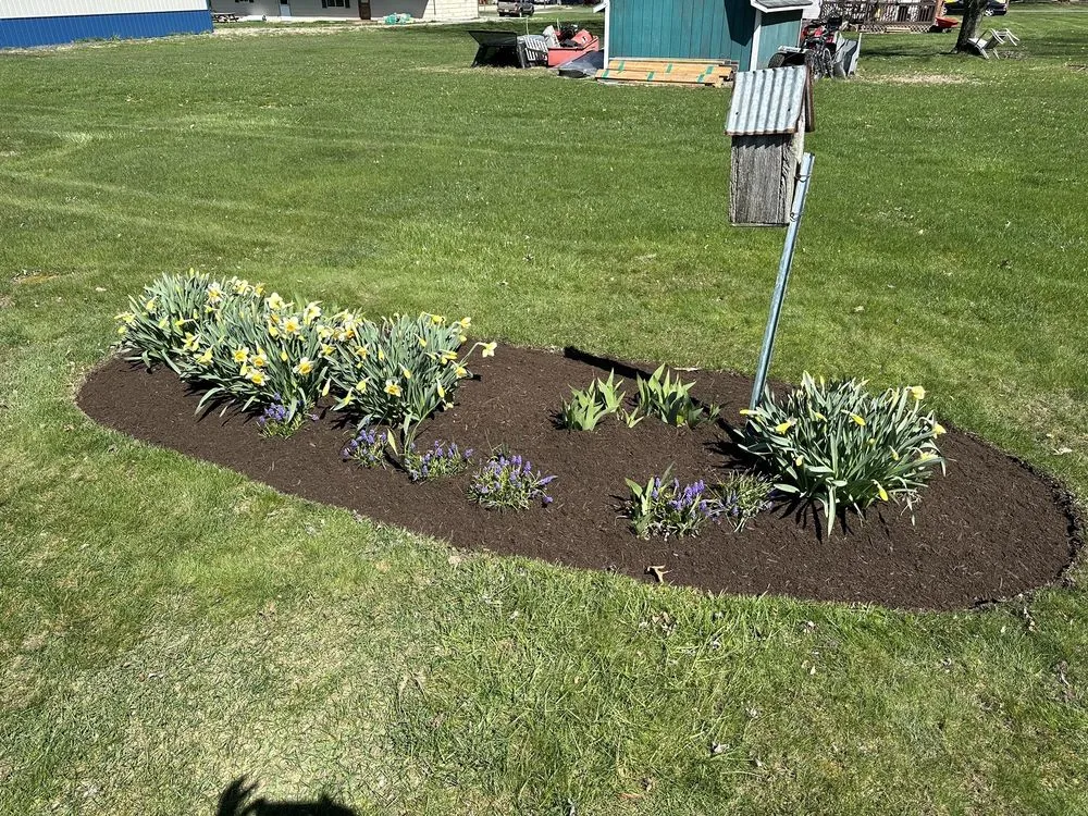 Professional lawn mowing service for year-round maintenance across Mansfield, OH - Creative Contours Landscapers