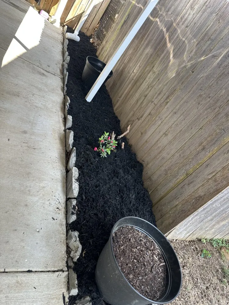 Top-rated landscape installation for outdoor upgrades in Memphis, TN by Creative Contractor