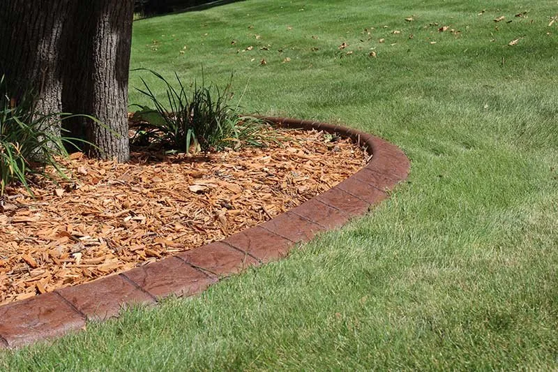 Expert lawn care service in Rochester, MN - Creative Curb Appeal