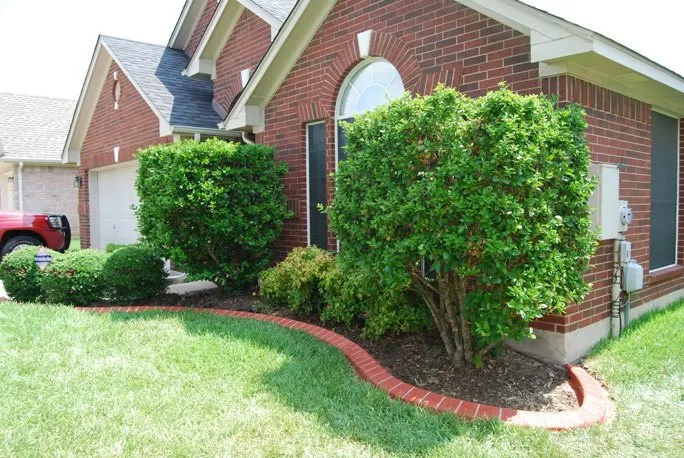 Local yard cleanup service for beautiful yards in Austin, TX by Creative Curbing